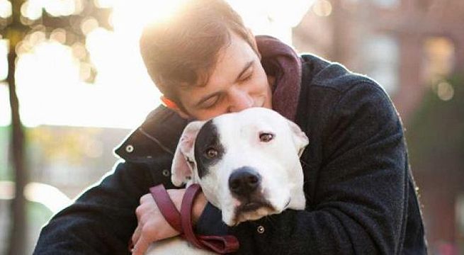 Abraza a tu perro y olvídate de la ansiedad y del estrés