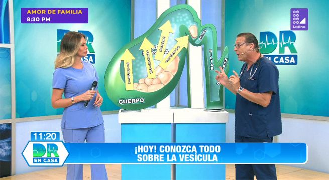 Doctor en Casa: Conoce todo sobre la vesícula