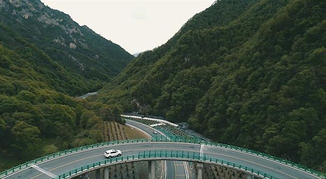 China construye autopista en medio de un bosque sin talar un solo árbol [Fotos]