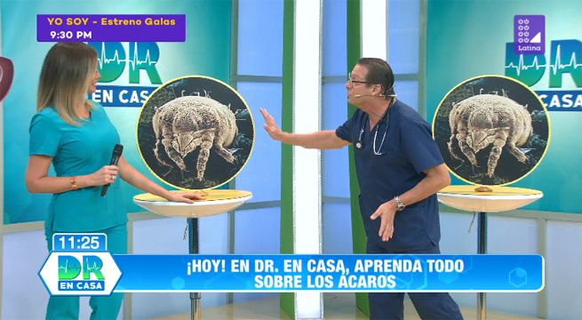 Doctor en casa: Aprende todo sobre los ácaros