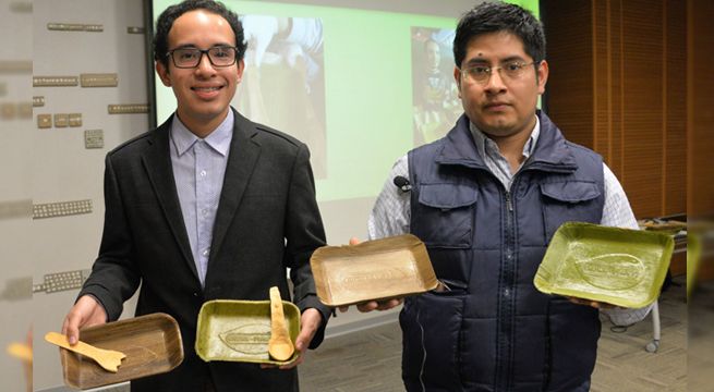 Crean platos biodegradables a base de hojas de plátano de la Amazonía