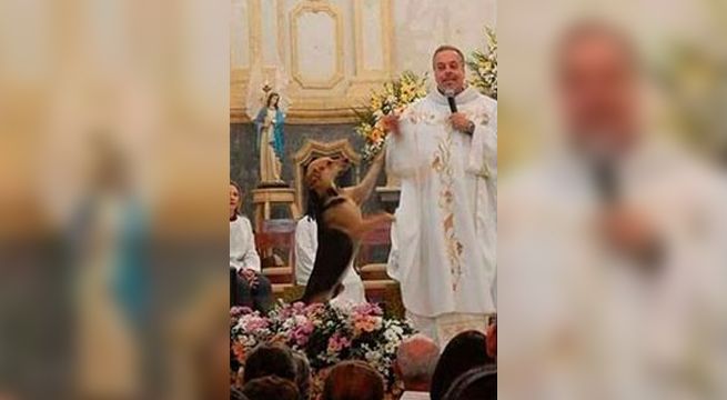 Sacerdote lleva perros callejeros a misa para promover la adopción