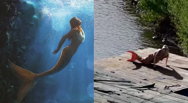Imágenes de una supuesta sirena causan conmoción en las redes sociales [VIDEO]