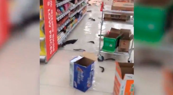 YouTube: supermercado se convierte en acuario gigante tras explosión de pecera