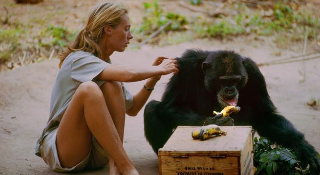 ‘Jane’: el documental de la primera científica que entendió a los chimpancés