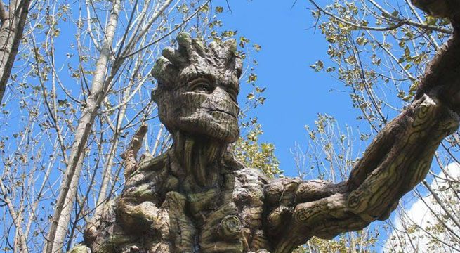 Cusco: Esculturas de ‘Groot’ impresionan al director de ‘Guardianes de la Galaxia’
