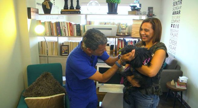 Los Animales Me Importan: Mónica Cabrejos nos presenta a 'Morocha'