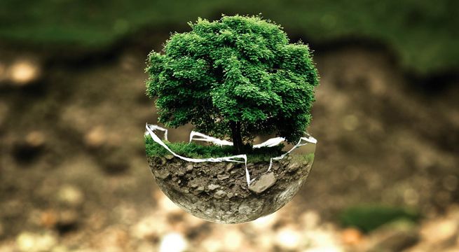 Mira cuatro consejos para que cuides el medio ambiente de forma sencilla