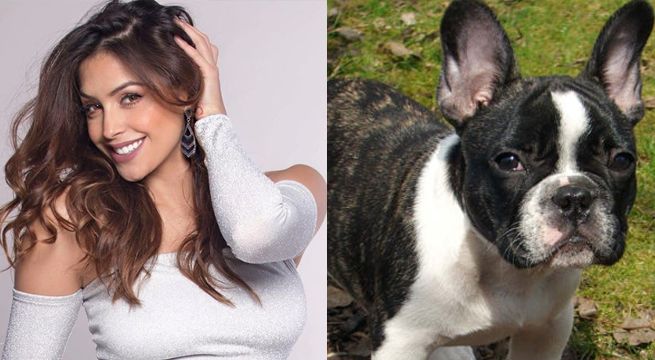 Milett Figueroa terminó así tras ser mordida en el rostro por su perro