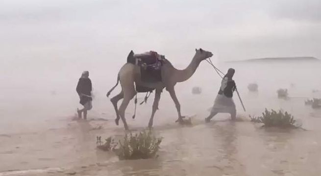 Desierto queda convertido en lago debido a intensas lluvias (Video)