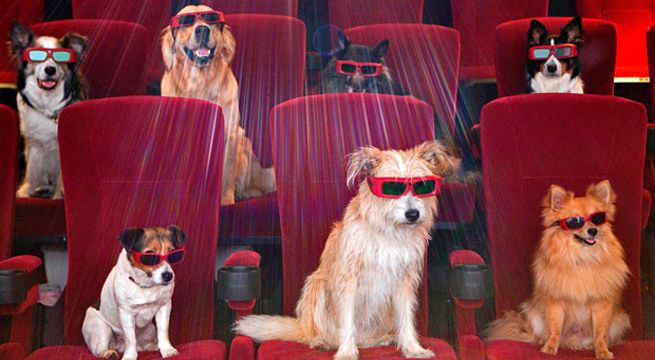 Abren primer cine que permite la asistencia con mascotas