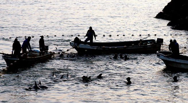 Temen ocurrencia de desastre natural debido a la aparición de rara criatura