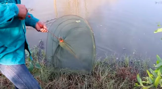 Pescador se encontró con terrible criatura cuando recogió su red