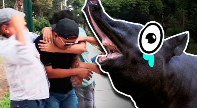 Tapir 590 recibe tremenda golpiza en un video que tiene un importante mensaje
