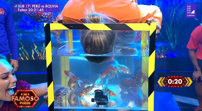 Los cuatro famosos se exigieron al máximo al jugar 'Como pez en el agua'