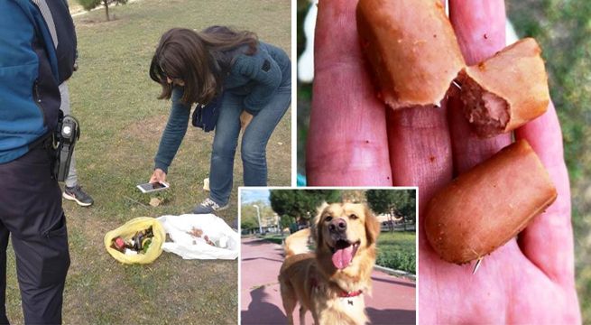 Sujeto dejó salchichas con alfileres para causar daño a perros de un parque