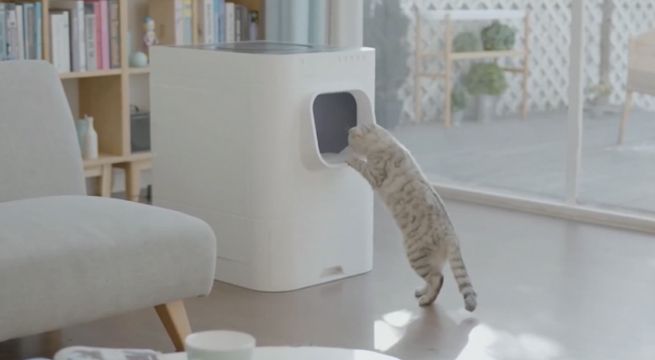 Huella Digital: los gadgets que debes tener para cuidar de tus mascotas 