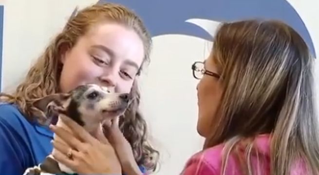 El tierno reencuentro de una mujer y su perrita después de 12 años [VIDEO]