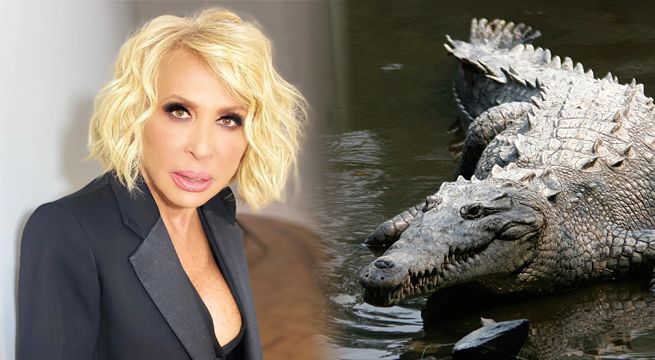 Laura Bozzo sorprende a todos al besar un cocodrilo en México [VIDEO]