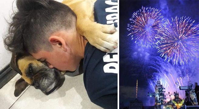 Una perrita falleció en los brazos de su dueño a causa del ruido de los pirotécnicos [FOTOS]
