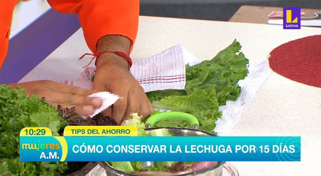 Tips del ahorro: Descubre cómo conservar la lechuga por 15 días [VIDEO]