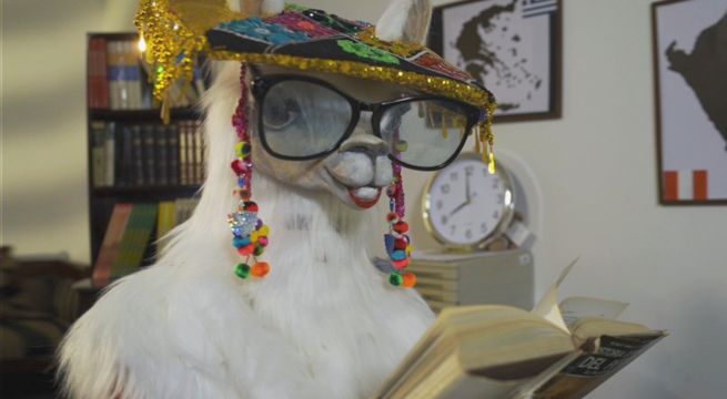 Mira las pistas de la ‘Llama’ y trata de conocer quién es en realidad esta enmascarada