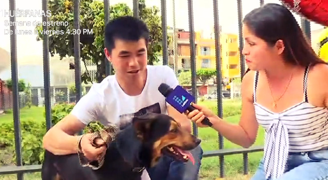 Independencia: dueño de chifa 'Asia' se reencuentra con su mascota