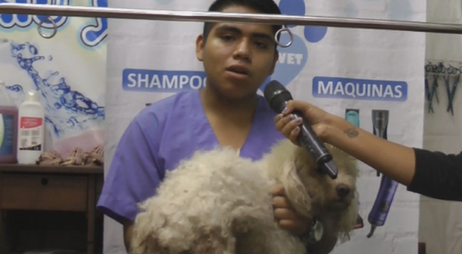 Personal de spa canino denunció presunto abuso sexual contra un perrito