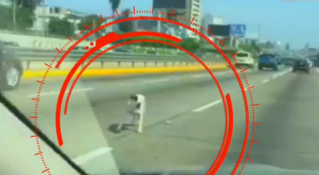 Tengo Algo Que Decirte: ¿Qué pasó con el perrito que cayó desde la maletera de un auto?