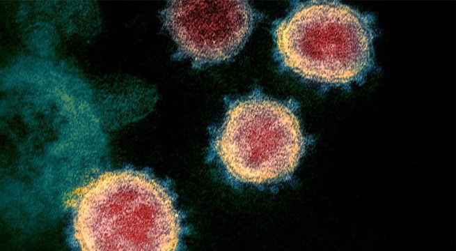 Estudio revela que existirían tres tipos de coronavirus que mutaron desde su origen en Wuhan