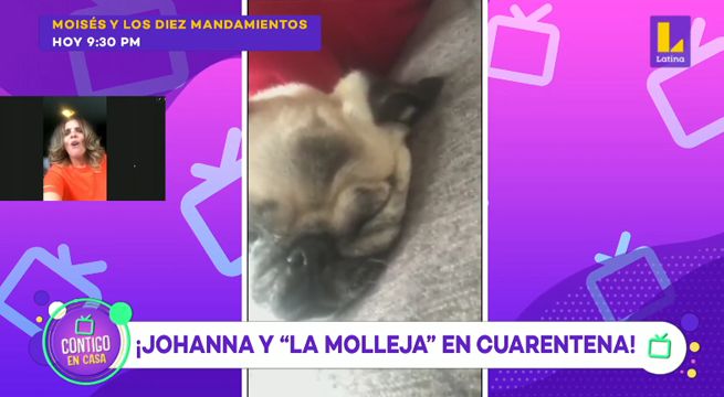 Mira el primer capítulo de “Johana y ‘La Molleja’ en cuarentena”