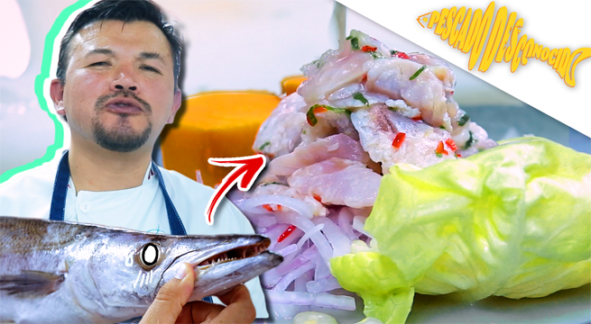Pescado Desconocido: Aprende a preparar un ceviche y sudado de Picuda