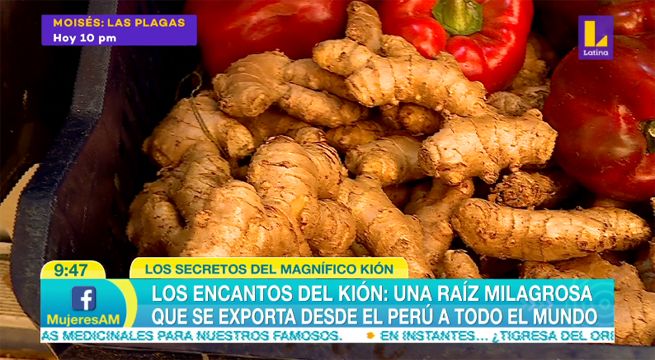 Conoce los secretos del magnífico kión [VIDEO]