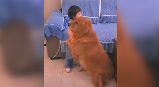 Perro abraza a niña que era regañada por su madre