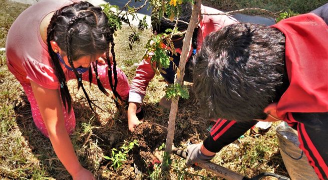 Niños y jóvenes de diversas regiones promueven la conciencia ambiental plantando árboles