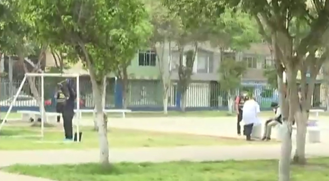 Niño murió tras caerle un arco de fútbol en la cabeza en parque de San Martín de Porres