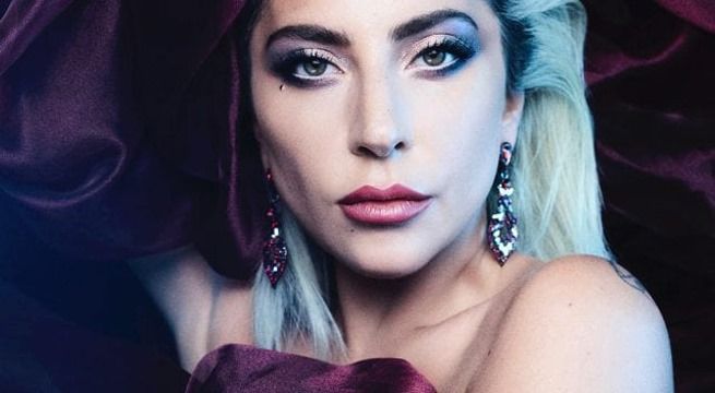 Lady Gaga ofrece recompensa de 500.000 dólares por sus dos perros robados