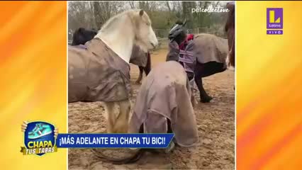 Chapa Tus Tabas - 10 de abril