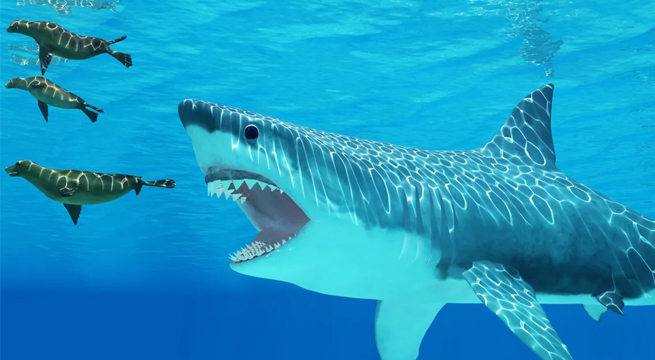 ¿Megalodón?: Captan un tiburón gigante en el mar Atlántico [VIDEO]
