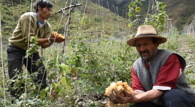 Reserva del Manu: turismo sostenible y promoción de productos son piezas claves para crecimiento en la zona