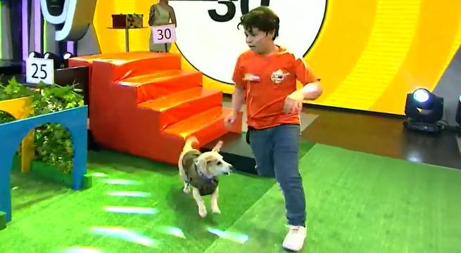 Las familias Chinchay e Hidalgo, junto a sus mascotas, jugaron a ‘El dúo perfecto’