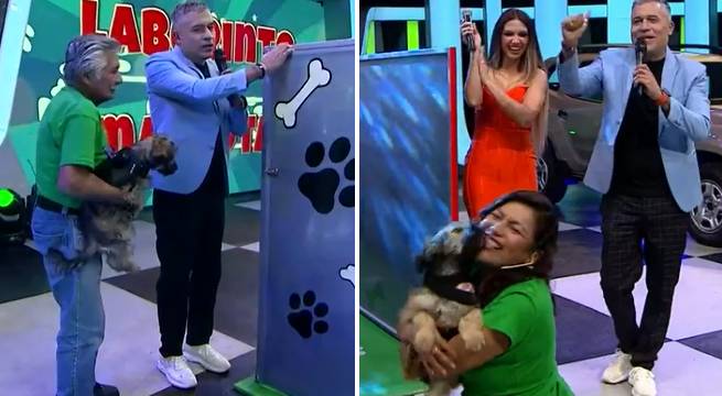 Luna y Bolsón ayudaron a sus familias al jugar ‘Laberinto de mascotas’