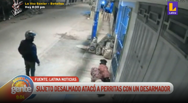 San Martín de Porres: Sujeto desalmado atacó a perritas con un desarmador