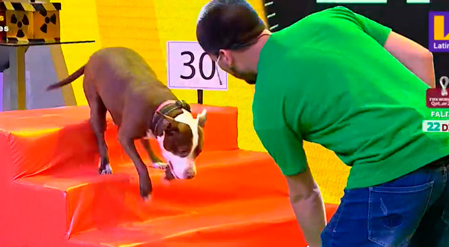 Las mascotas de las familias Falconi y De Pinho midieron destrezas en ‘El dúo perfecto’