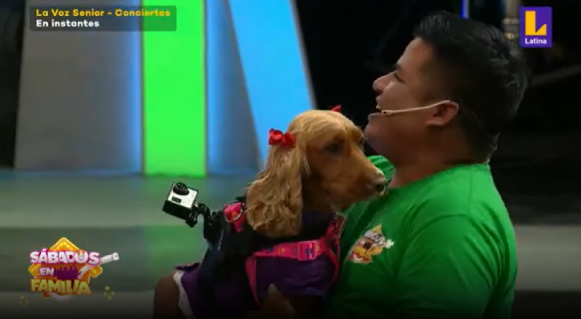 Los engreídos de casa compitieron en ‘Laberinto de mascotas’