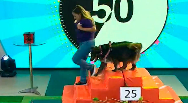 Las mascotas de las familias Machón y Uribe midieron destrezas en ‘El dúo perfecto’