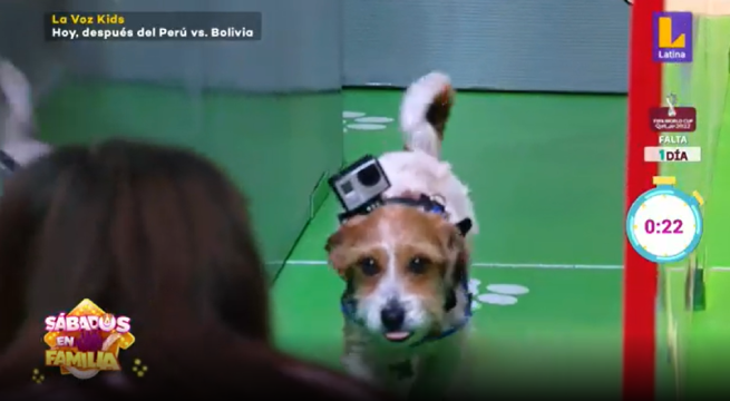 Sábados en Familia: Nach y Atena compitieron en ‘Laberinto de mascotas’