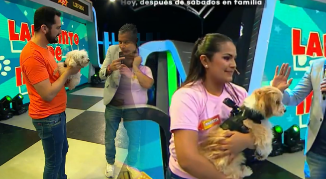 “Laberinto de mascotas”: perritos apoyaron a sus dueños en la competencia