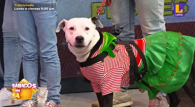 Sábados en Familia: 