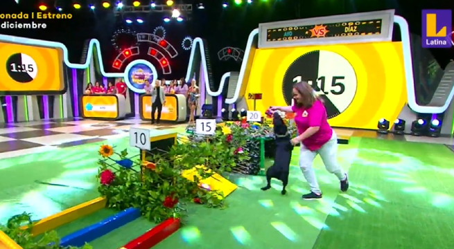 “Sábados en familia”: mascotas participaron en el divertido juego el “Dúo perfecto”